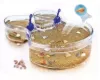 Picture of Triops, les animaux préhistoriques - French version - Clementoni | Science & Play – Raise Your Triops